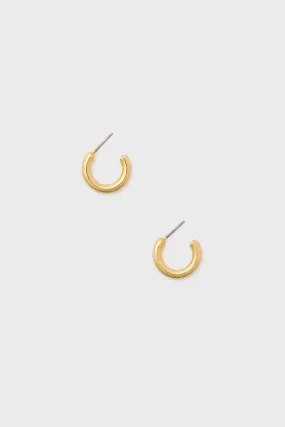 Gold Mini Hoop Earrings