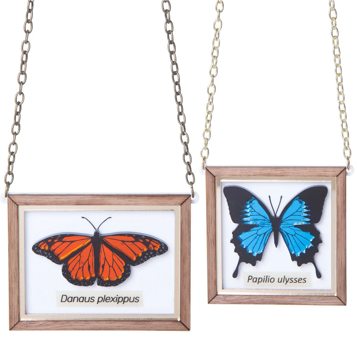 Mounted butterfly necklaces